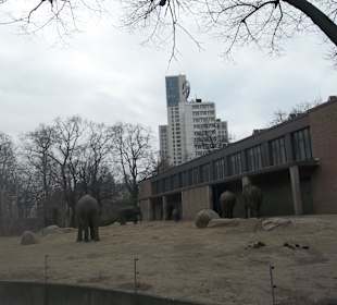 ZOO Berlin