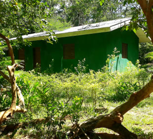 Masingini Forest