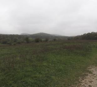 Naturschutzgebiet Listhof