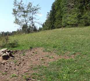 Premiumwanderweg "hochgesprudelt"