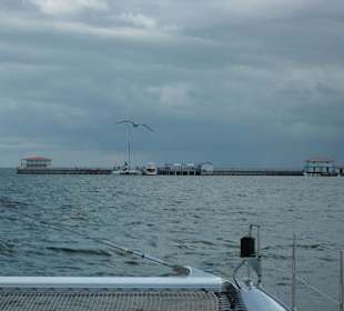 Delfinbecken im Meer