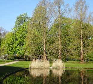 Impressionen vom Spaziergang durch den Kurpark