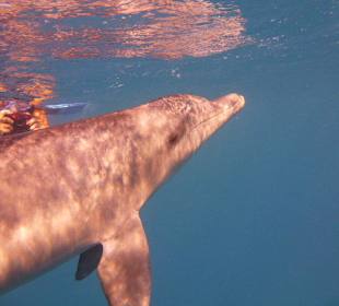 Dephine in Hurghada...