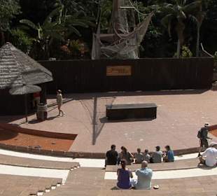 Die Vogelshow war schlecht besucht und sehr kurz 