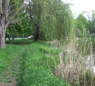 Butzensee