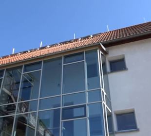 Sibylle-von-der-Teck-Schule