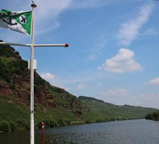 Mosel mit Weinberge