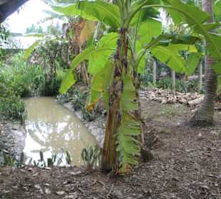 Wasser ist sehr wichtig!