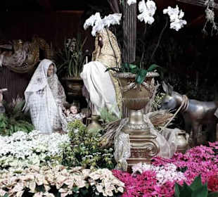 Funchal Seitenstrasse