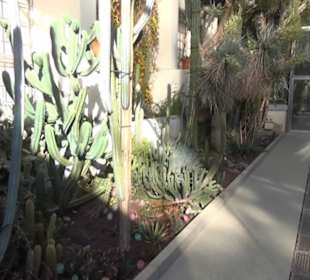 Real Jardín Botánico de Madrid