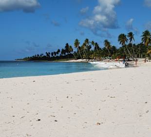 Isla Saona