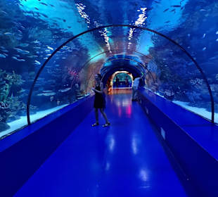 Aquarium Antalya