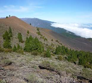 Der Gipfelgrat des Pico Birigoyo