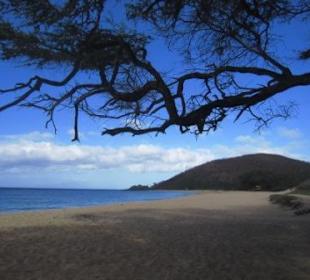 Der Black Beach, kaum überlaufen und wunderschön
