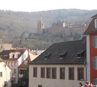 Blick zum Schloss