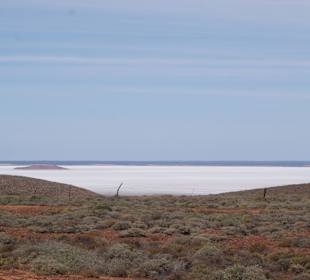 Insel in einem Salzsee nahe Lake Hart