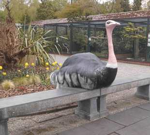 Weltvogelpark Walsrode