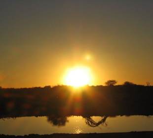 Abend am Wasserloch