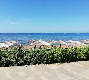 Strand Stalis