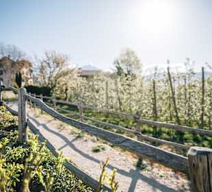 Wandern Algund Vellau