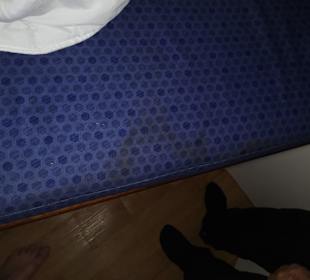 Für 2400 EU pro Woche