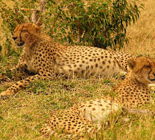 Wir haben einfach nicht`s zu tun