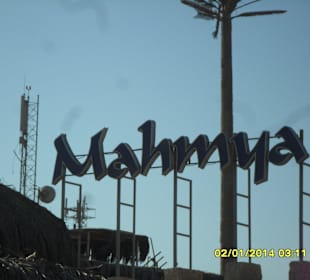 Inselausflug (Nicht zu empfehlen)