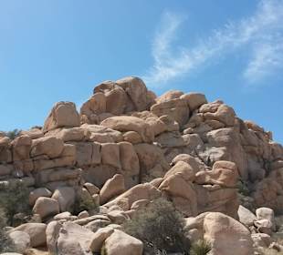 Joshua Tree National Park
