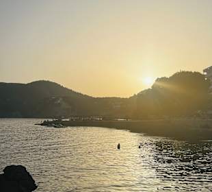 Strand Paguera/Peguera