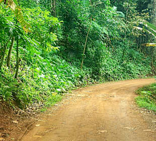 Parque Natural Obô do Príncipe
