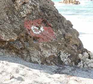 Fels am strand