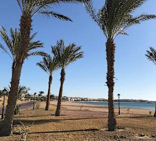 Strand Sahl Hasheesh