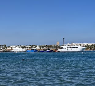 Glasbodenboot Tour Seascope Makadi Bay