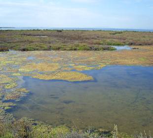 Wasser so weit man schaut
