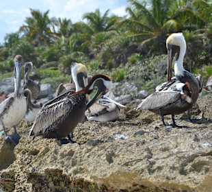 Strandabschnitt im Süden