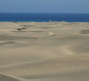 Dünenlandschaft