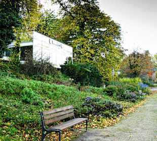 Цветы конца октября на променаде.