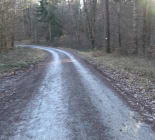 Wanderung rund um den Ochsenweiher