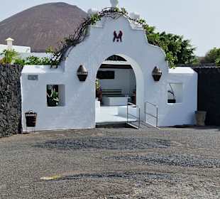 Wandern Puerto del Carmen