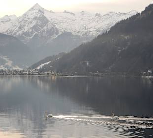 Auf der Wanderung am Zeller See