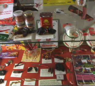 Spicy's Gewürzmuseum