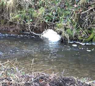 Schönbuch Schaichtal