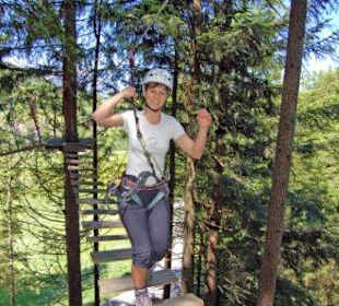 Wald Hochseilgarten am Gleinkersee Windischgarsten