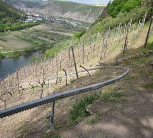 Raststätte Moselblick