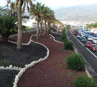 Stadtrundgang Costa Adeje 