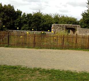 Burgruine Lichtenberg Thallichtenberg