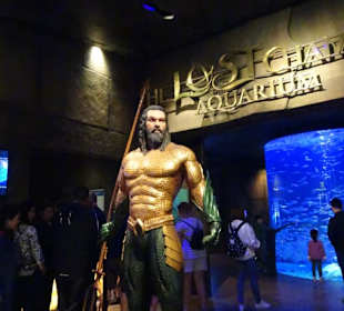 Stadtrundfahrt Dubai