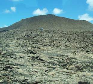 Aus dem Bus geknipst 3