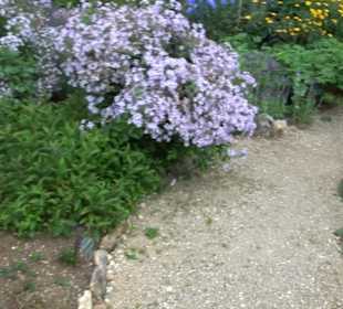 ALB-GOLD Naturgarten