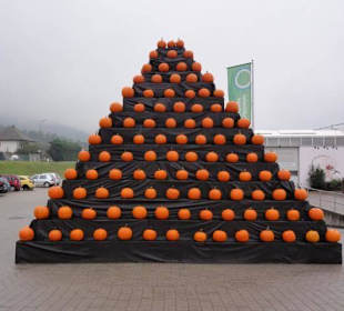 Raffeiner Orchideenwelt